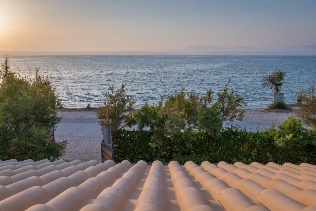 Tamaris Beach House Αχαράβη Εξωτερικό φωτογραφία