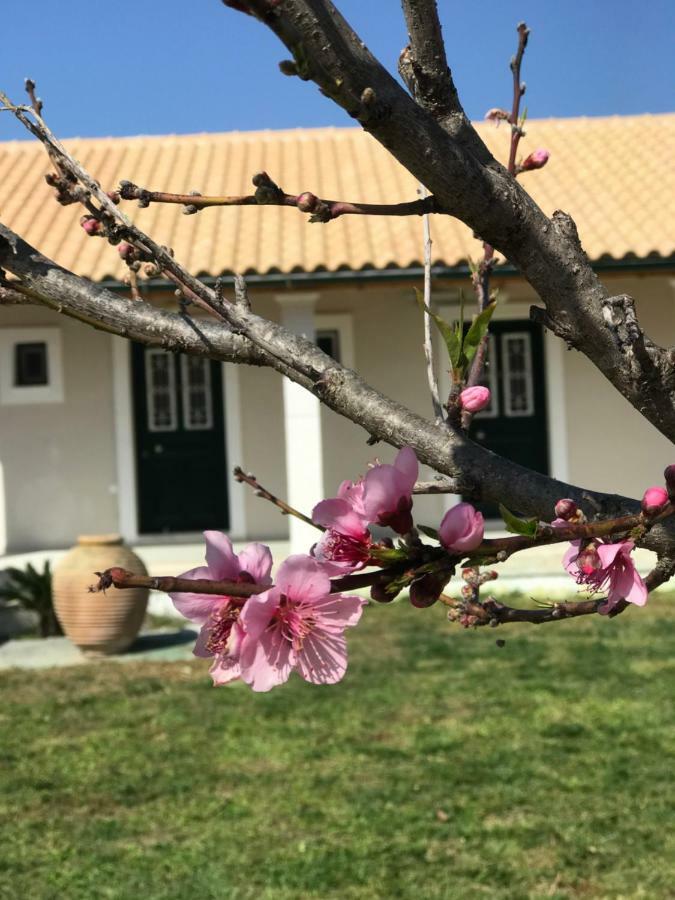 Tamaris Beach House Αχαράβη Εξωτερικό φωτογραφία