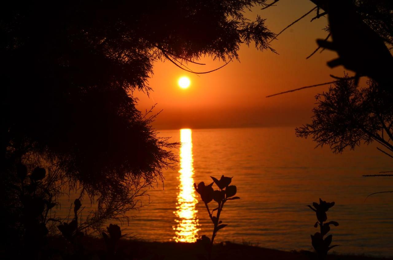 Tamaris Beach House Αχαράβη Εξωτερικό φωτογραφία